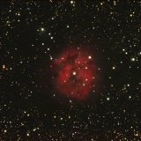 IC 5146, the Cocoon 